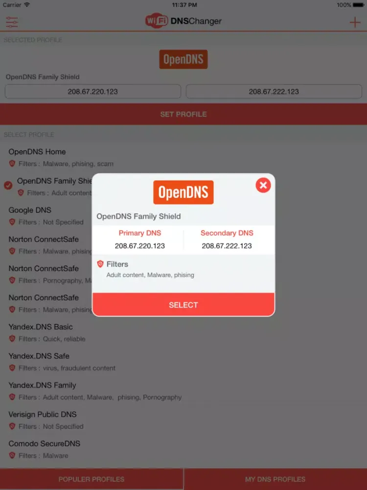 WiFi DNS Changer - VPN iPad  سکرین شاٹس