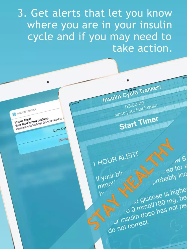 Tangkapan layar Insulin Cycle Tracker iPad 
