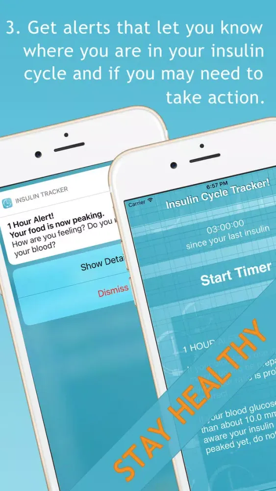 Tangkapan layar Insulin Cycle Tracker