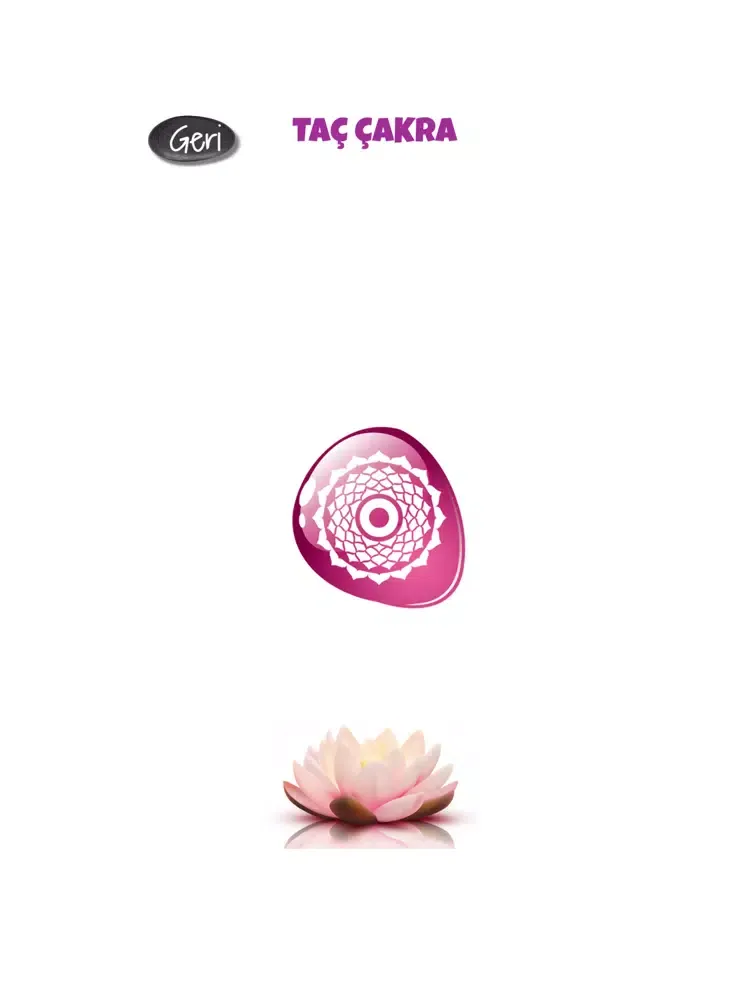 Tangkapan skrin Lotus Çakra - Reiki iPad 