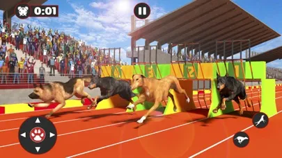 Greyhound Dog Racing Derby Screenshots
