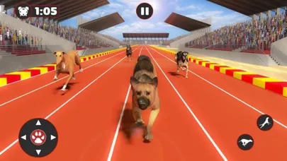 Greyhound Dog Racing Derby Screenshots