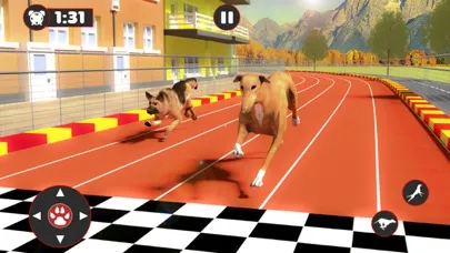 Greyhound Dog Racing Derby Screenshots