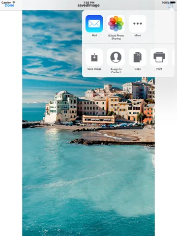 التعديل على الصور iPad 應用截圖