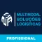 NSA Profissional