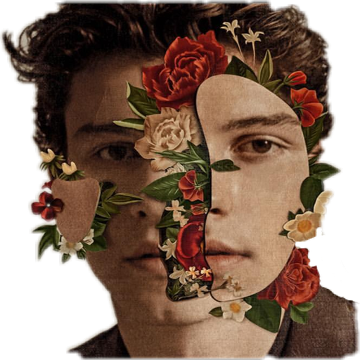 Shawn Mendes Quotes and Lyrics
