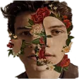 Shawn Mendes Quotes and Lyrics