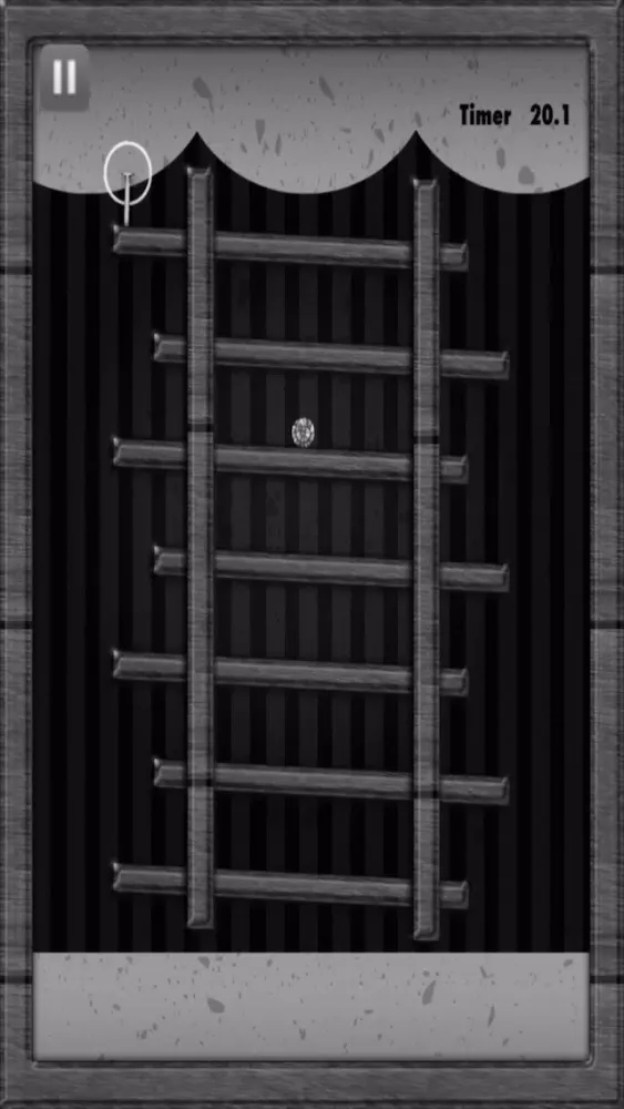 Tangkapan layar Dark Maze Legends: Tilt to Escape The Room