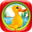 Duck Dash Fall of Gravity Pro