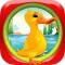 Duck Dash Fall of Gravity Pro