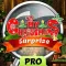 My Christmas Surprise - Hidden Object