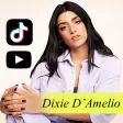 All Dixie D'Amelio Song All Dixie D'Amelio Song