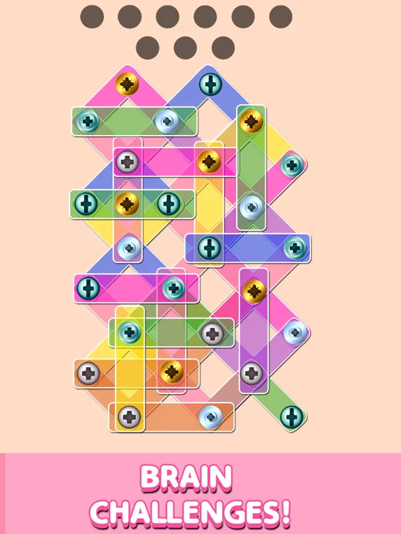 Screw Puzzle: Jam Nuts & bolts iPad 应用截图