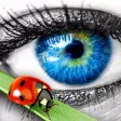 Bug Watch