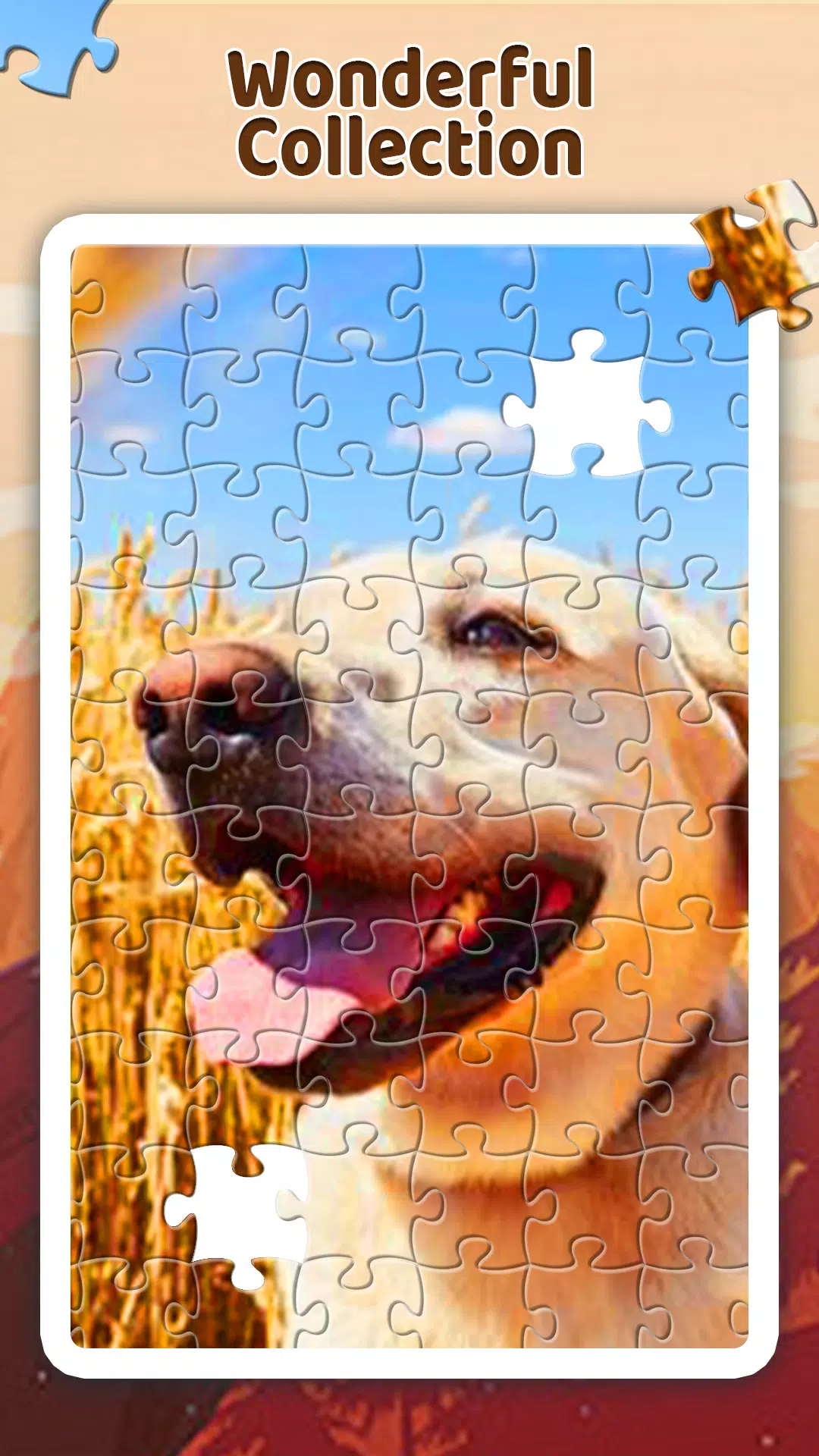 Jigsaw Puzzle Master Screenshots