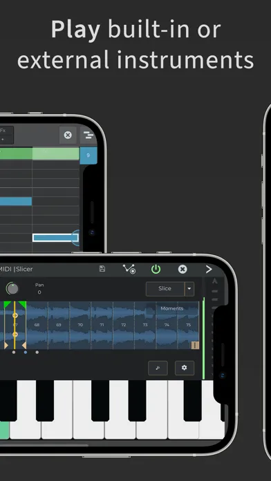 Tangkapan skrin n-Track Studio Pro | DAW