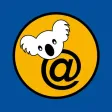 nts koala