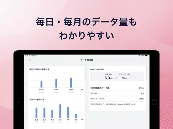 Tangkapan layar My docomo - 料金・通信量の確認 iPad 
