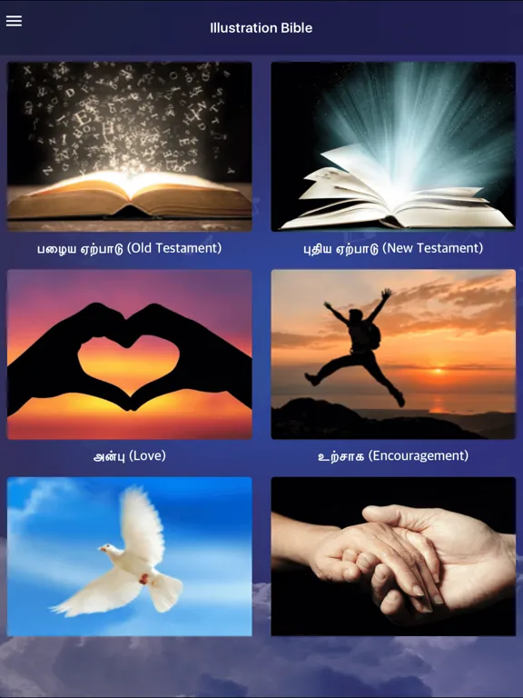 Capturas de pantalla de Audio Bible in Multi Languages iPad 