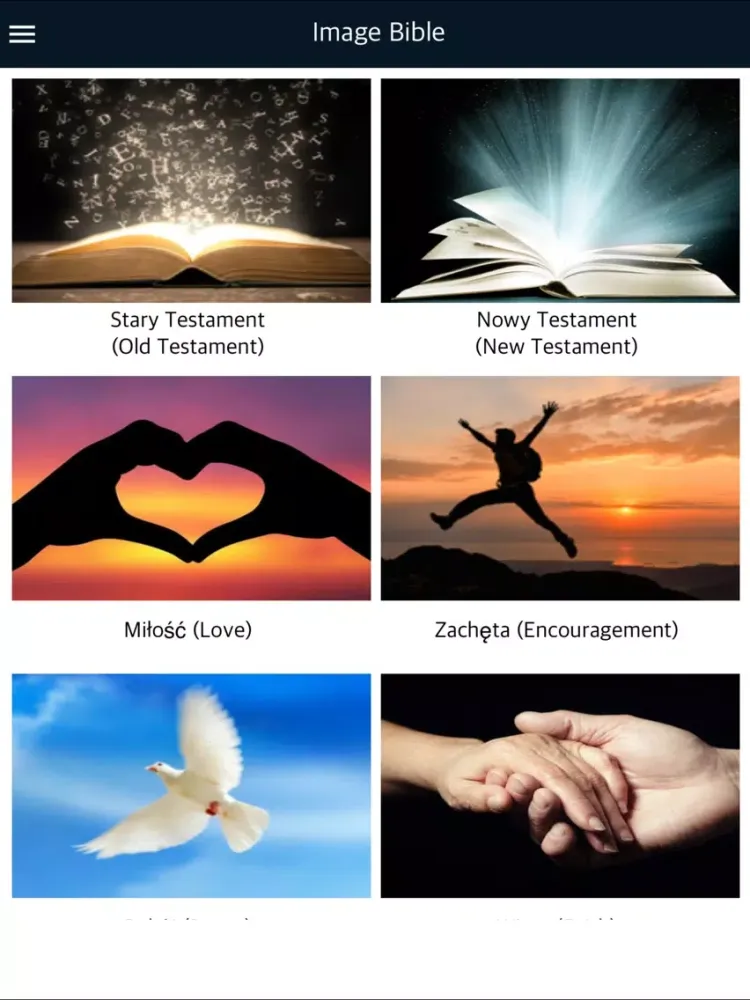 تصاویر Holy Bible with Audio in Polish iPad 