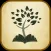 Greek Holy Bible Audio