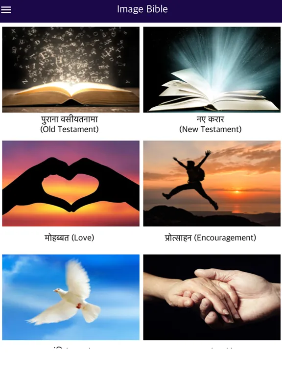Capturas de pantalla de Holy Bible with Audio in Hindi iPad 