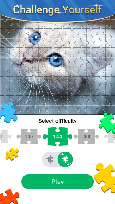 Jigsaw Puzzle Master - Classic سکرین شاٹس