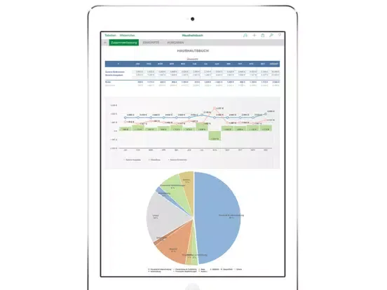Capturas de tela do Haushaltsbuch für Numbers iPad 