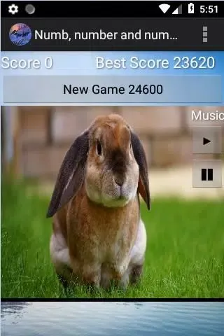 numb, number & numberer champ سکرین شاٹس