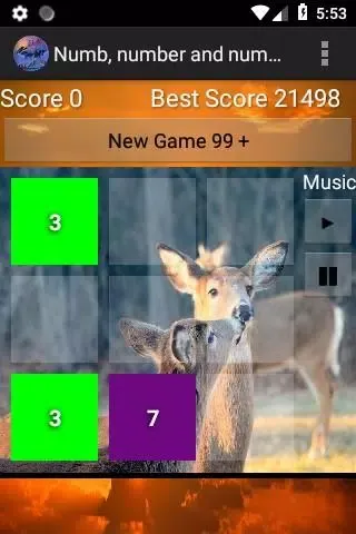 numb, number & numberer champ سکرین شاٹس