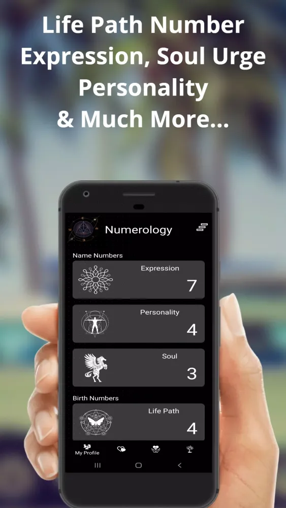 Numerology Screenshots