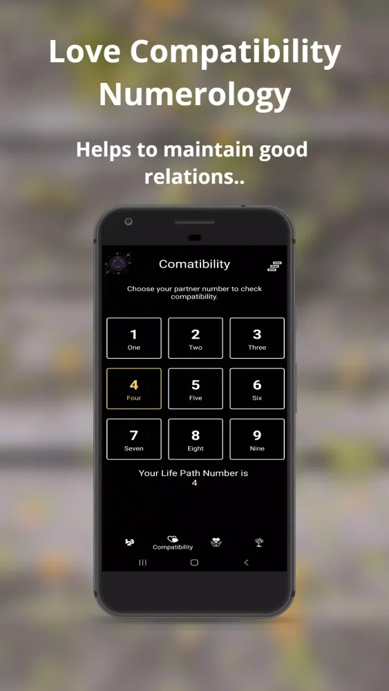 Numerology Screenshots