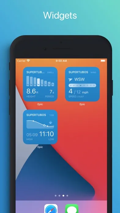 EPIC - Surf Report & Forecast سکرین شاٹس