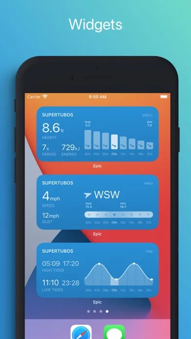 EPIC - Surf Report & Forecast سکرین شاٹس
