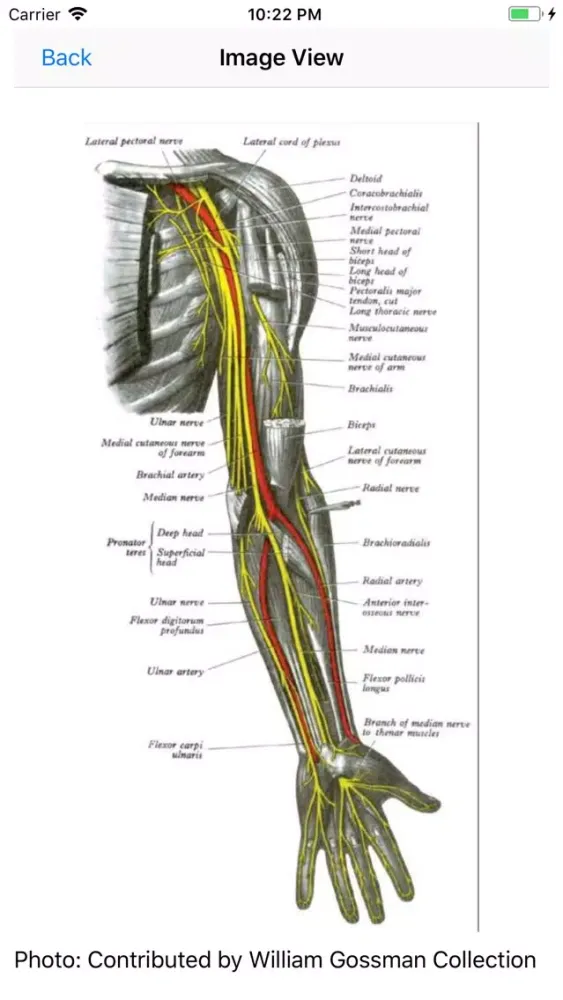 Trauma Nursing 스크린샷