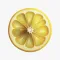 NutriWise