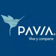 Pavia