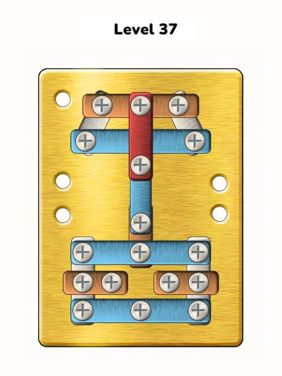 تصاویر Nuts Screwing Puzzle iPad 