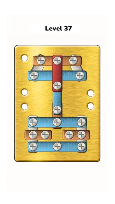 تصاویر Nuts Screwing Puzzle