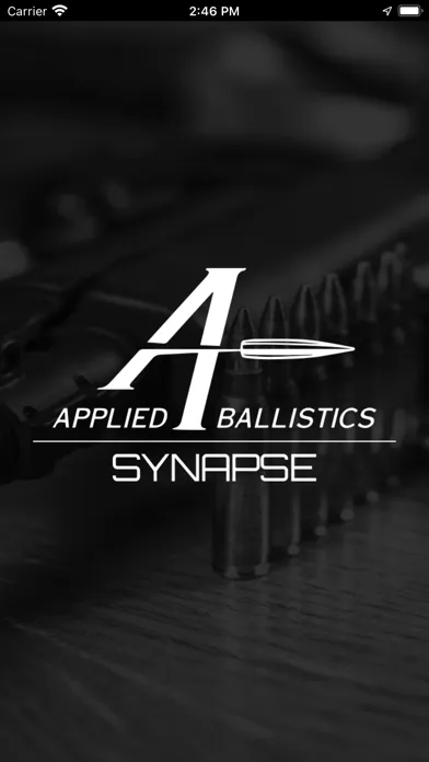 AB Synapse - BOSS 스크린샷