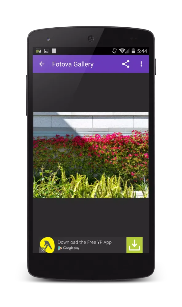 Fotova Gallery Screenshots