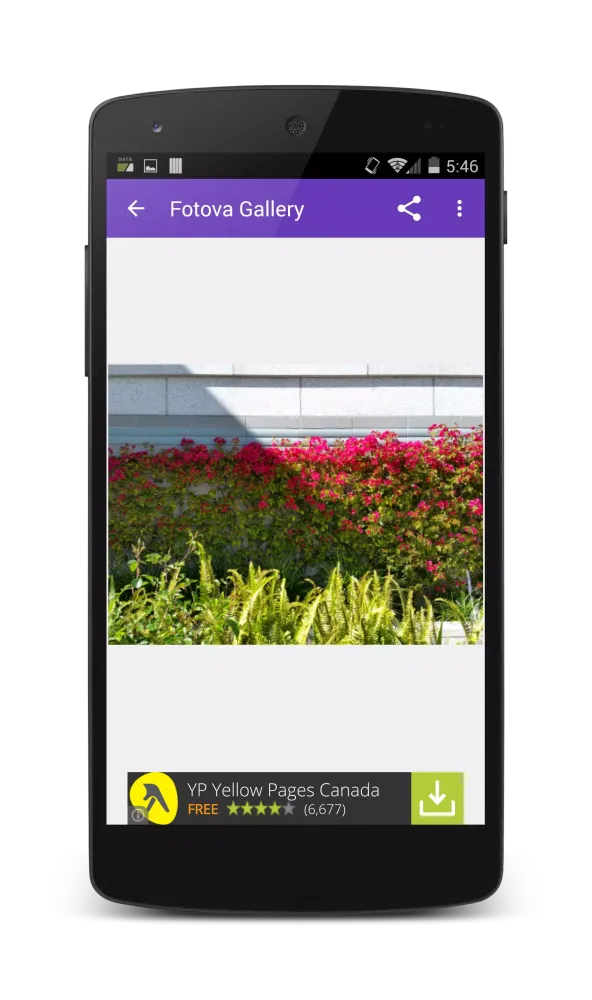 Fotova Gallery Screenshots