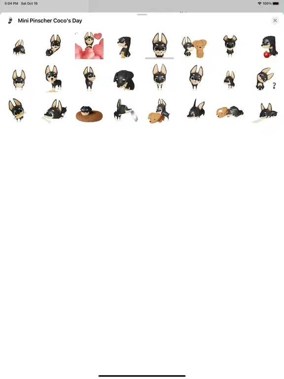 صور Mini Pinscher Coco's Day iPad 