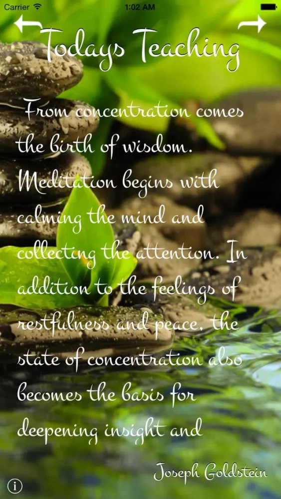 Zen Mindfulness سکرین شاٹس