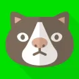 にゃんこライフ！
