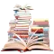 Shamela books Library