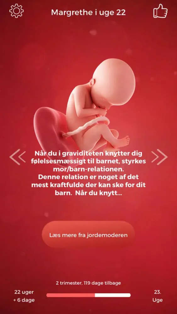 Min Graviditet Ekran Görüntüleri