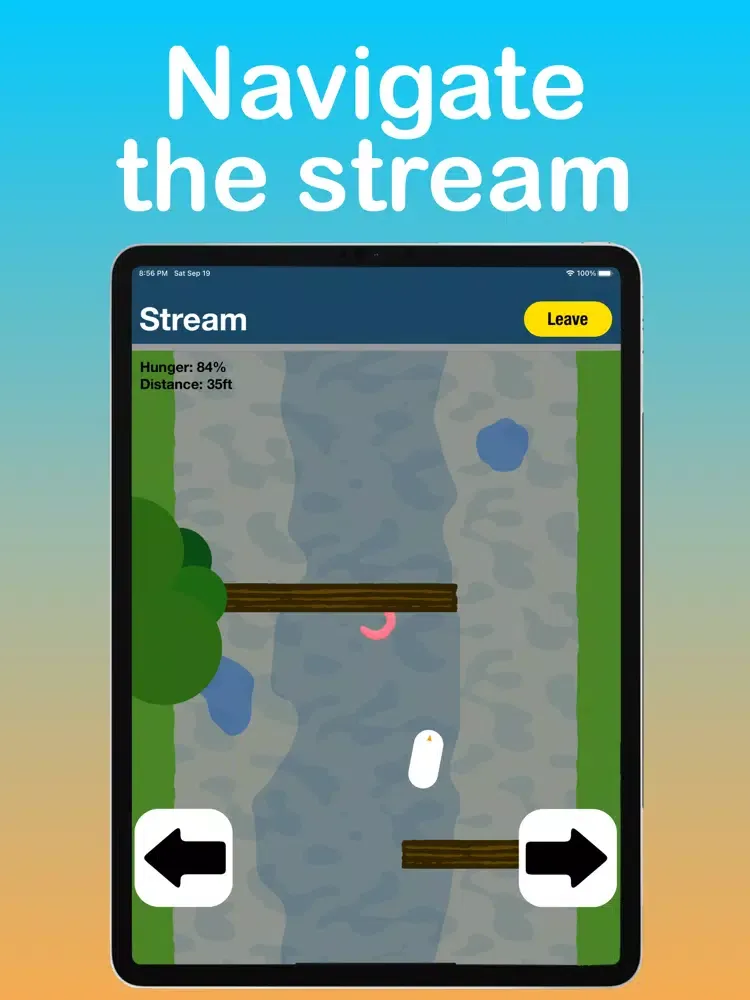 Скриншоты Ducker iPad 