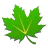 Greenify
