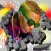 Wizkid